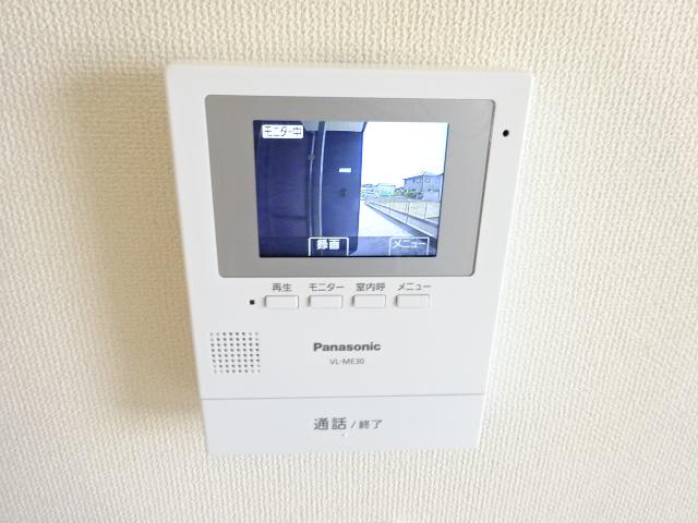 シーダー初生 その他3