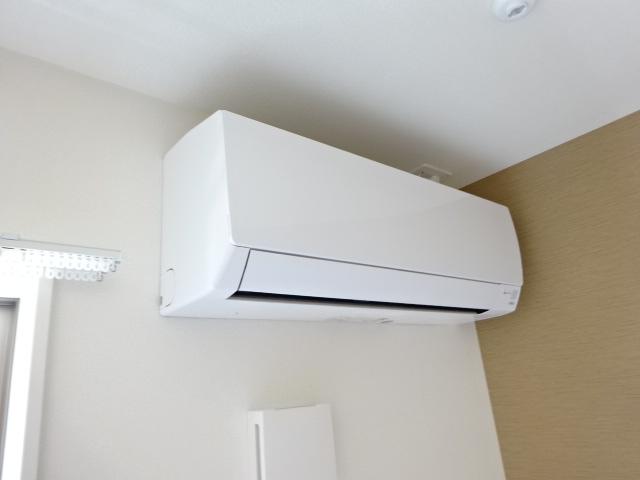 シーダー初生 その他5