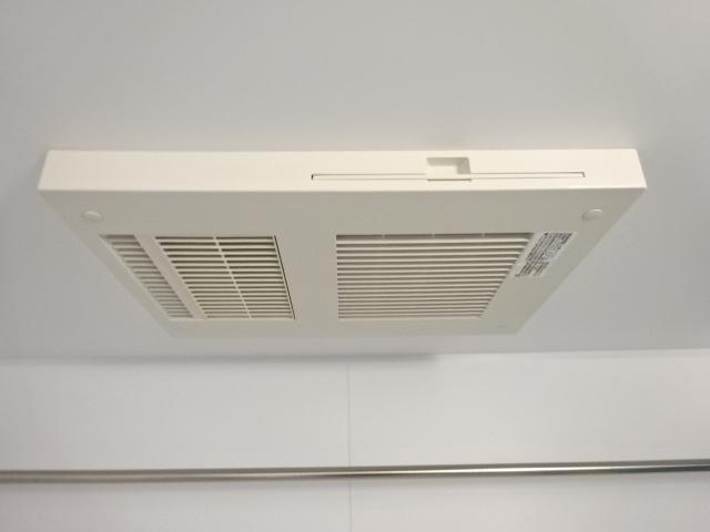 シーダー初生 その他6