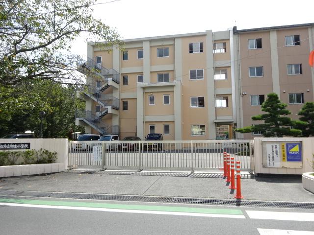 シーダー初生 その他外観5