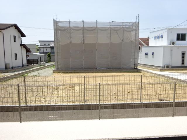 シーダー初生 その他7