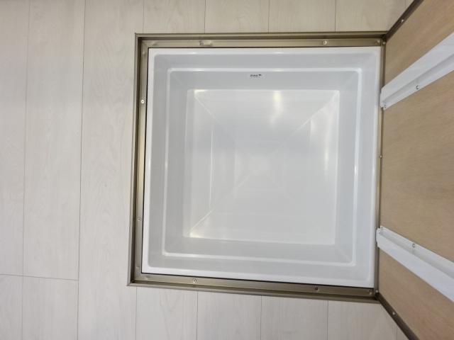 シーダー初生 その他14