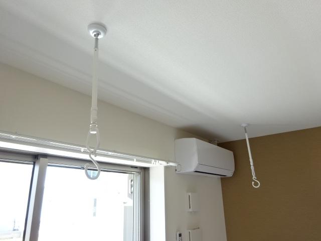 シーダー初生 その他15