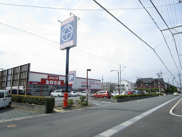 セジュール白菊 その他外観4