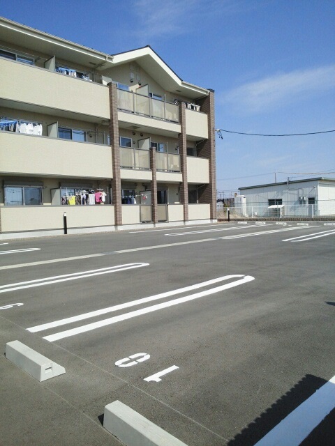 プラシードＡ その他5