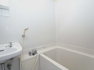 ドルフ向平 風呂画像