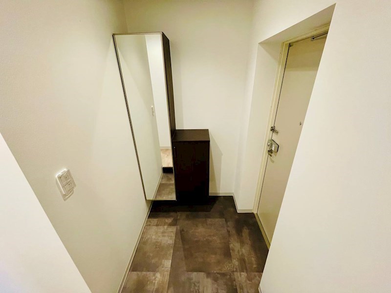 トップアイルⅢ 玄関