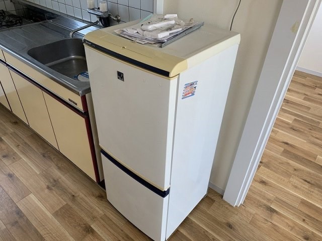 BeeTop幸 その他12