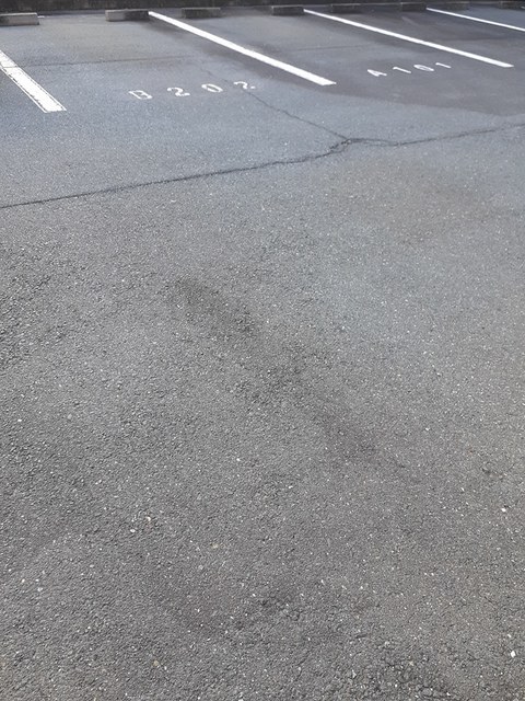 ベルデＵⅡ その他4