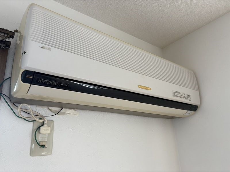 ハイカムールジャスミン その他3