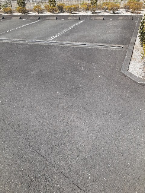 アムール その他4