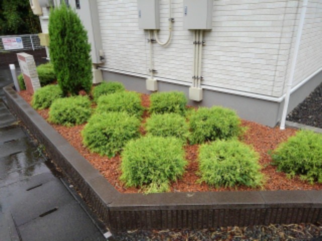 ラティア その他14