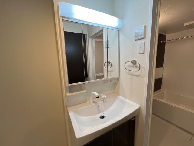 プルメリア その他1