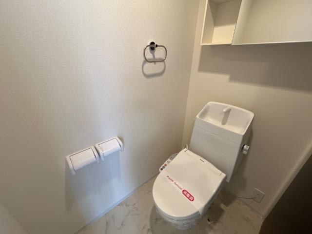 プルメリア その他2