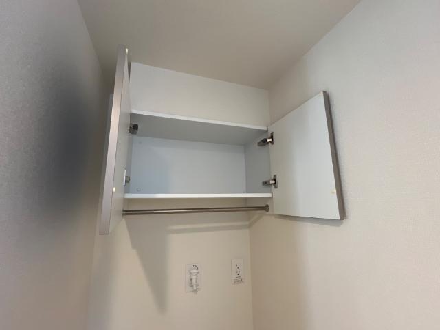 プルメリア その他3