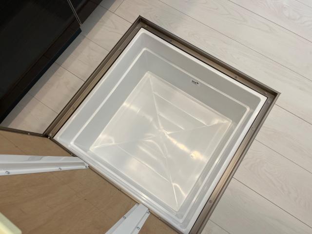 プルメリア その他4