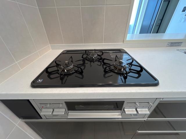 プルメリア その他8