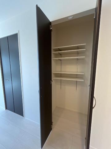 プルメリア その他11