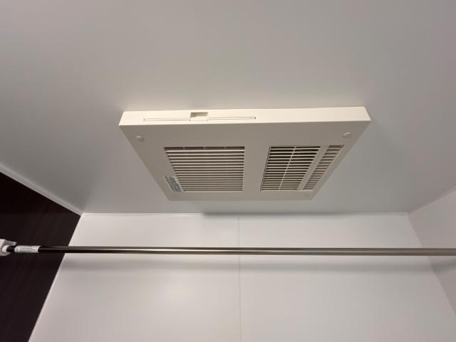 プルメリア その他14