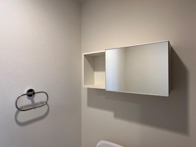 プルメリア その他15