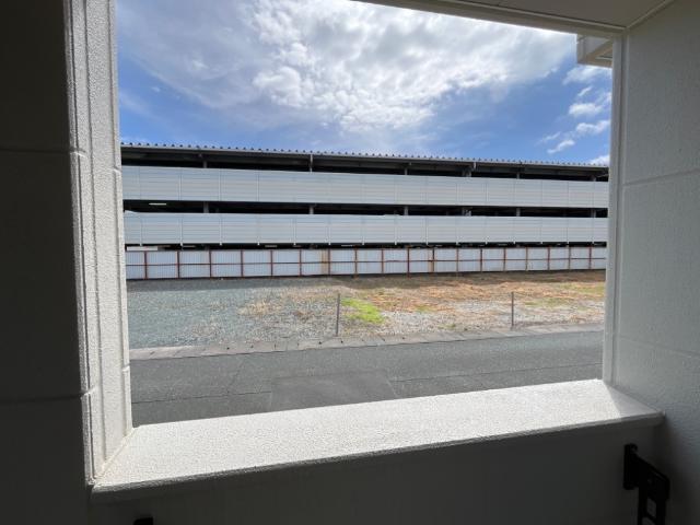 プルメリア その他16