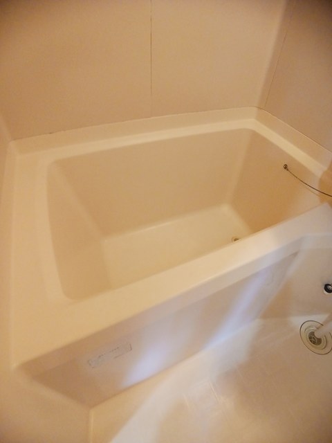 エルディムおおすみＡ 風呂画像