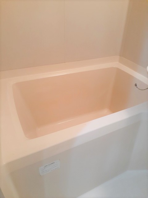 エルディムおおすみＡ 風呂画像