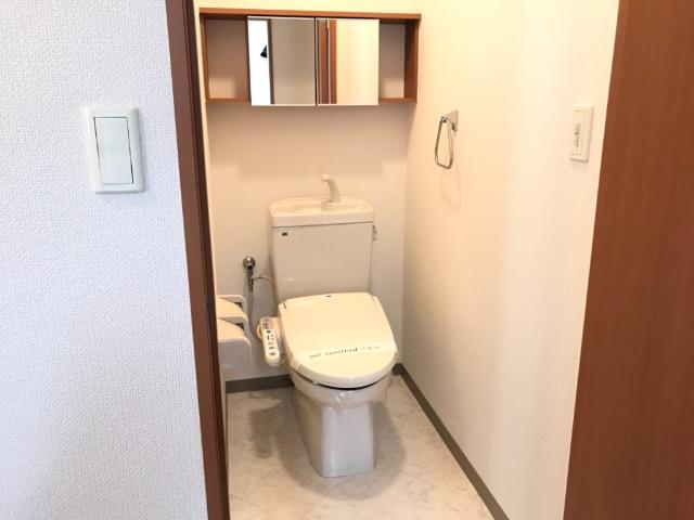 アイリス その他1