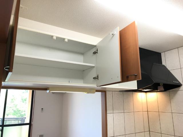 アイリス その他10