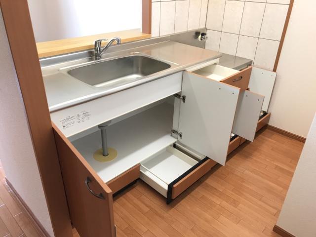 アイリス その他13