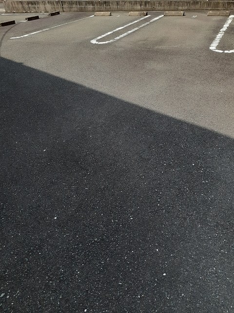 アイビー その他4