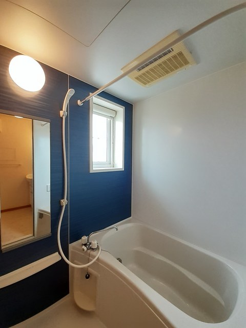 アイビー 風呂画像