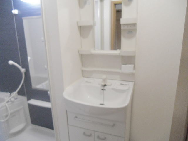 Ｌｉｂｅｒｔｙ　１８６０ その他4