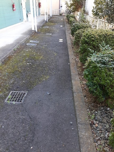 エルディムおおすみＡ その他11