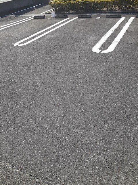 ニューリーフ　Ｂ その他7