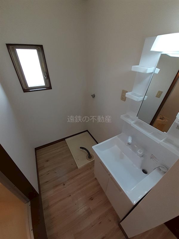 サンフラワーB その他2