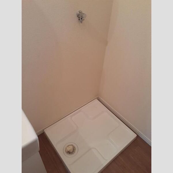 サンフラワーB その他6