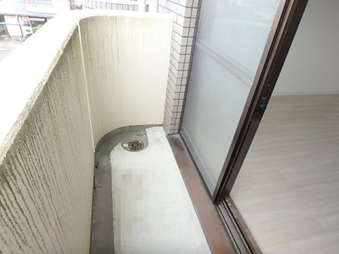 ヴェルドミール その他10