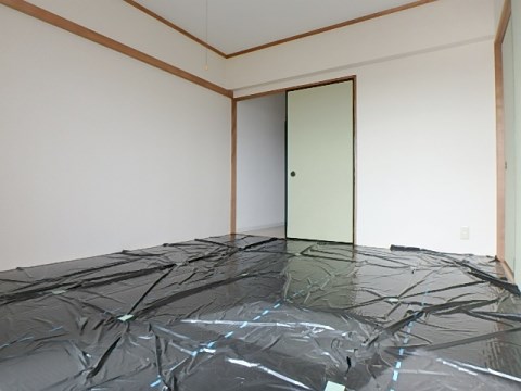 ヴェルドミール その他11