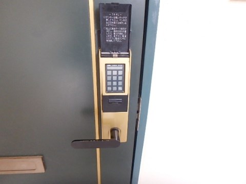 ヴェルドミール その他12