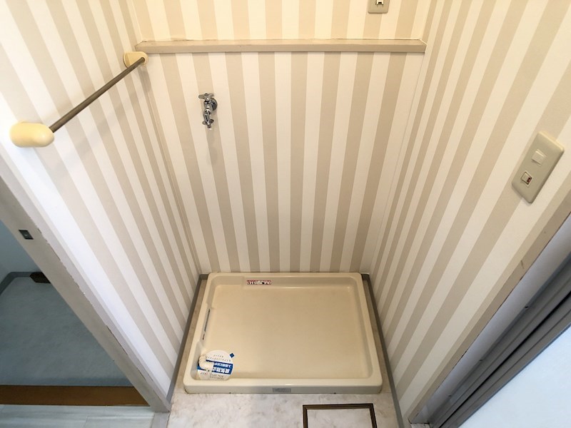 パレス・セルシオⅡ その他12