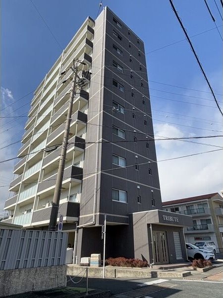 TRIBUTE その他外観3