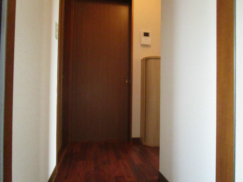 メインライトⅡ その他19