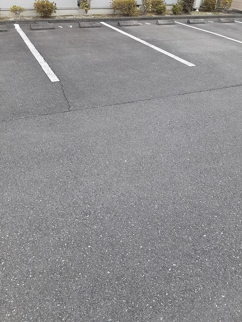 梅の香　Ⅱ その他4