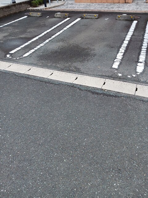 ウエスト・テール　ミュー その他4