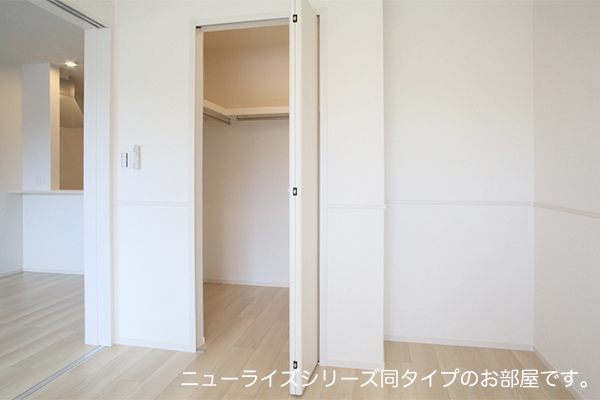 サンフラワー その他5