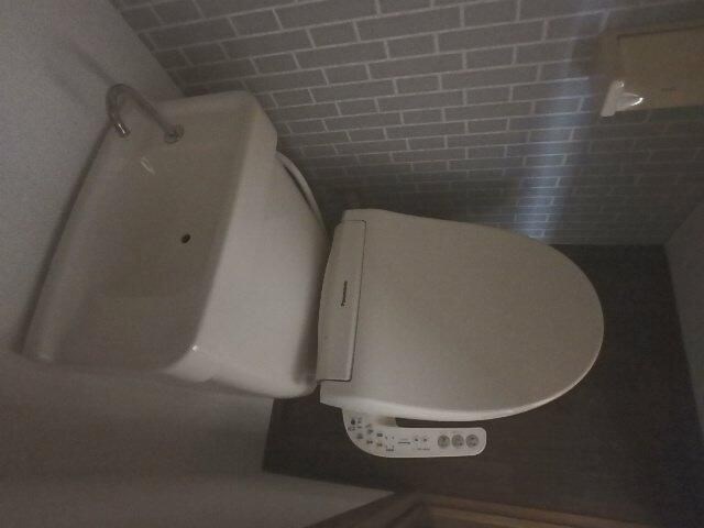 パステルⅡ その他2