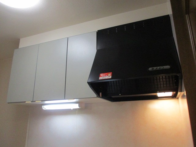 SYLPHⅡ（シルフツー） その他22