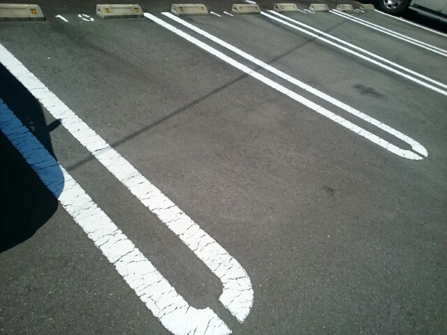 メイプル・アイ その他5