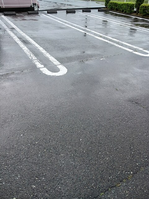 ピーノ その他6